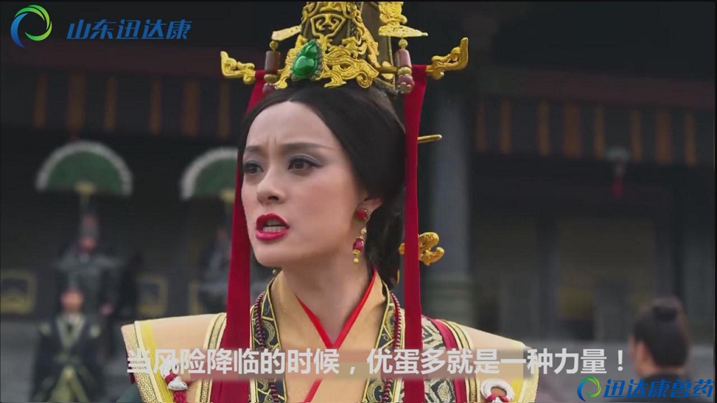 Ѹ�_���Fˎ-������(�d�°�)