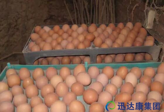 ���a���u��