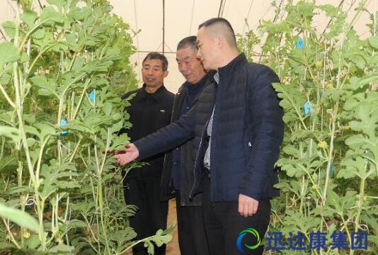 ��Ԫ��I�Y�������r�I׃��  ���Ʊ�ķģʽ��Ʒ�|�r�I�lչ