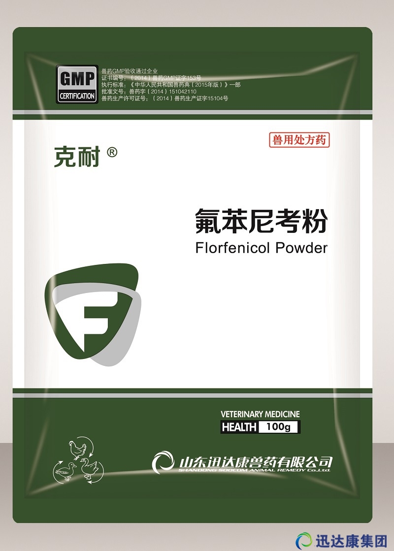 ����----�����ῼ��